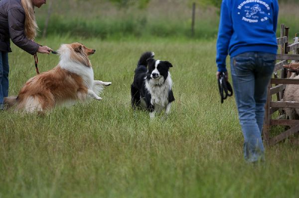 Huetetest2009-99